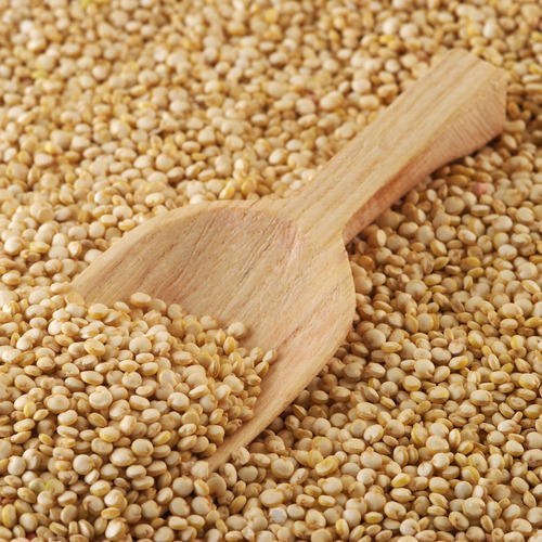 Organic amaranth grain supplier in India